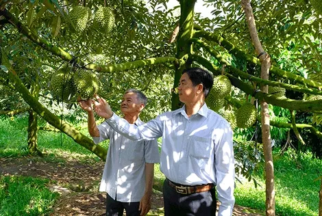 Nhơn Ái nỗ lực xây dựng xã nông thôn mới kiểu mẫu
