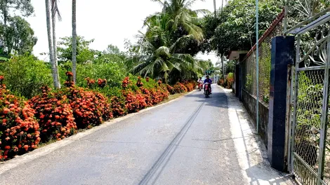 Nâng cao chất lượng môi trường nông thôn