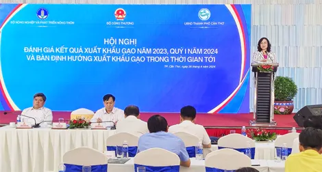 Bàn giải pháp phát triển xuất khẩu gạo hiệu quả và bền vững