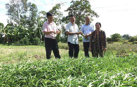 Thốt Nốt: Đáp ứng nhu cầu vốn vay, đảm bảo an sinh xã hội