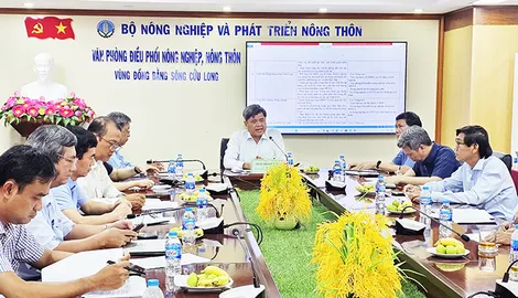 Khẩn trương triển khai các mô hình thí điểm canh tác lúa chất lượng cao, phát thải thấp