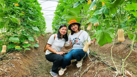 Phát triển du lịch theo hướng tăng trưởng xanh