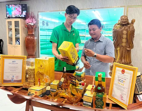 Trợ lực cho hợp tác xã hòa nhập xu thế số hóa