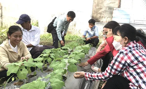 Đào tạo nghề nông nghiệp cho trên 100 lao động nông thôn