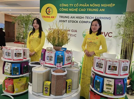 Nắm bắt cơ hội thúc đẩy xuất khẩu gạo