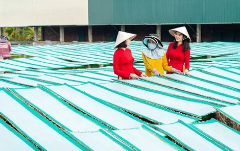 Agribank dành hơn 180.000 tỉ đồng vốn ưu đãi lãi suất thấp hỗ trợ khách hàng sản xuất, kinh doanh