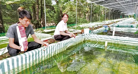 Bí thư Đoàn phường năng động