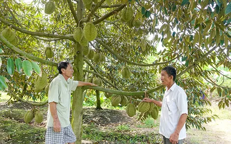 Bí thư chi bộ làm dân vận khéo