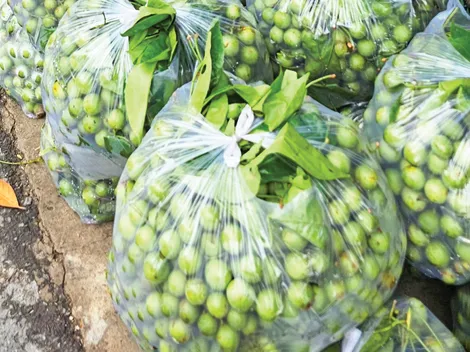 Dạo quanh thị trường