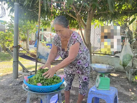 Tuổi già vẫn nặng gánh lo