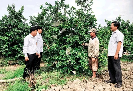 Huyện Cờ Ðỏ thi đua Dân vận khéo