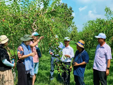 Cần Thơ khảo sát, trao đổi kinh nghiệm về phát triển du lịch tại Tây Ninh
