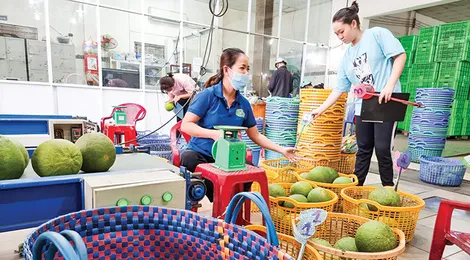 Dạo quanh thị trường