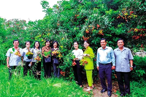 Thốt Nốt thúc đẩy du lịch, dịch vụ phát triển
