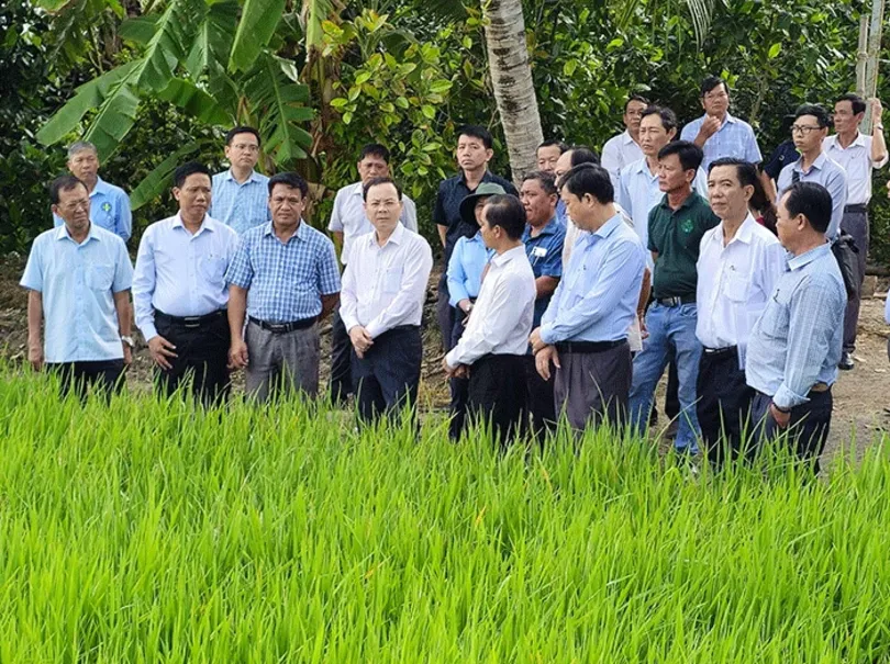 Lãnh đạo thành phố thăm một số mô hình HTX nông nghiệp