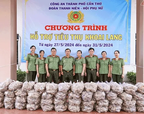 Công an TP Cần Thơ hỗ trợ nông dân tiêu thụ khoai lang