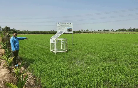 Tập trung chuyển đổi số trong nông nghiệp, nông thôn