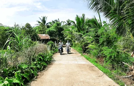 Nhiều việc thiết thực làm theo gương Bác