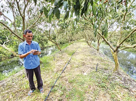 Khi nhà nông sử dụng nước tưới tiết kiệm, hiệu quả