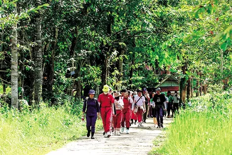 Mùa hè lên rừng