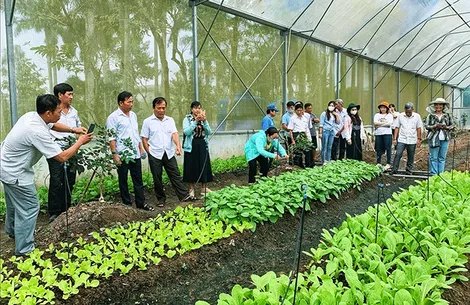 Tập trung phát triển du lịch nông nghiệp, nông thôn bền vững