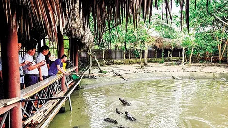 Bán lẻ hàng hóa và doanh thu dịch vụ tiêu dùng giảm nhẹ trong tháng 5-2024