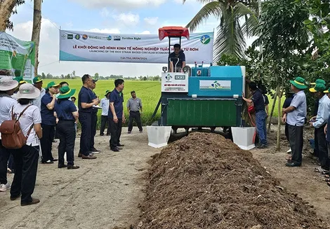 Khởi động mô hình kinh tế nông nghiệp tuần hoàn từ rơm