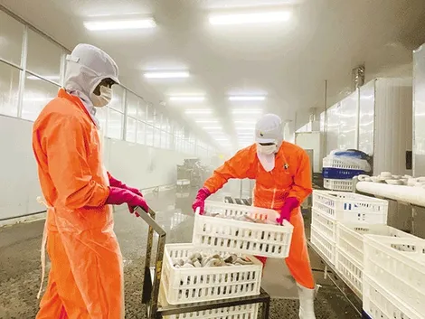 Nhiều nền tảng vững chắc để tăng trưởng kinh tế