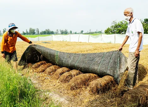 Chỉ đạo giúp nhân dân nâng cao mức sống