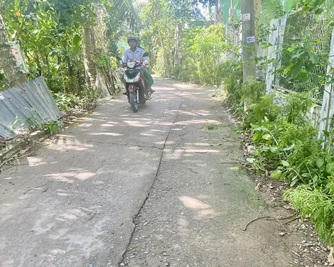 Mặt đường đóng rong, tiềm ẩn tai nạn giao thông trong mùa mưa