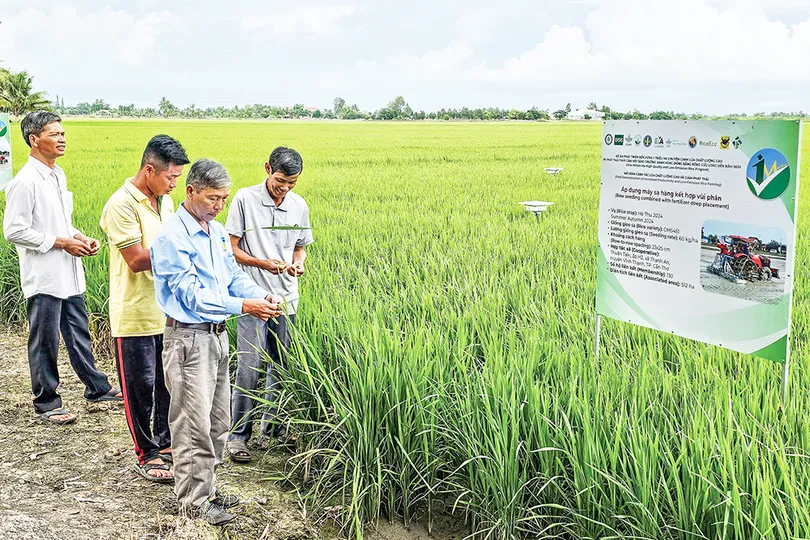 Nhân rộng mô hình canh tác lúa chất lượng cao, giảm phát thải