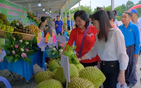 Phong Điền hỗ trợ nhà nông, phát huy thế mạnh vườn cây ăn trái