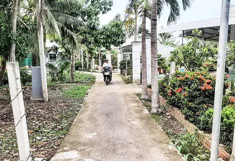 Chi bộ khu vực 1, phường Ba Láng làm theo gương Bác