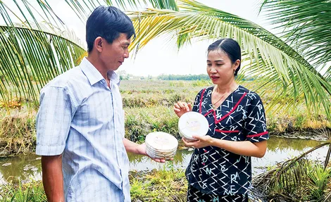 “Khoác áo mới” cho khóm Cầu Đúc