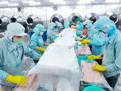 Hỗ trợ doanh nghiệp tăng trưởng xanh, phát triển bền vững