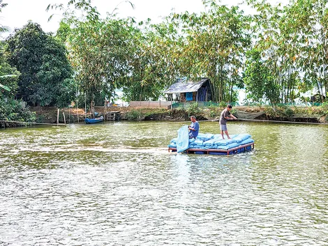Thu hoạch hơn 800.000 tấn thủy sản