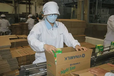Công bố Báo cáo kinh tế thường niên Việt Nam 2024