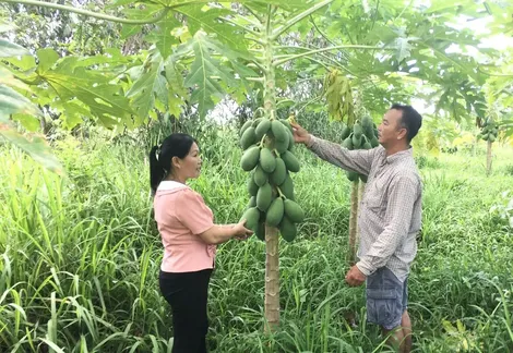 Vốn vay tín dụng chính sách đảm bảo an sinh xã hội