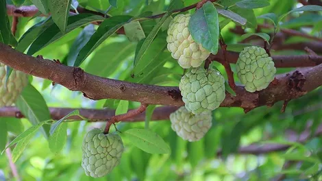 Khúc tình ca giữa thiên nhiên và con người