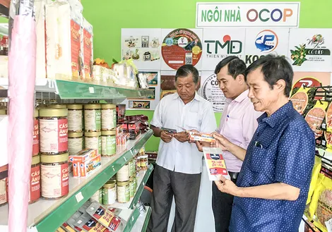 Vốn tín dụng chính sách hỗ trợ nhiều mô hình sản xuất, kinh doanh hiệu quả
