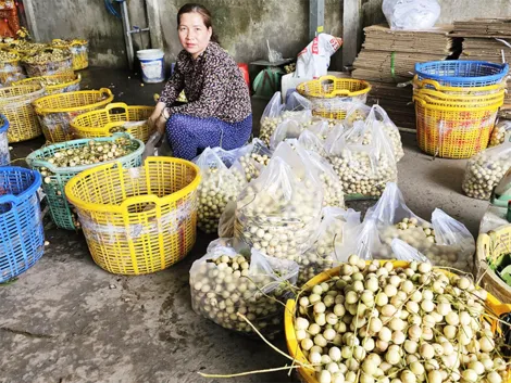 Dạo quanh thị trường