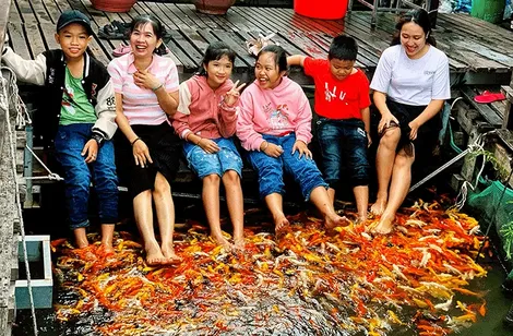 Mùa xanh cồn Sơn