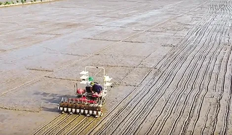 Hướng đi riêng của Hợp tác xã Sản xuất và Dịch vụ nông nghiệp Tấn Ðạt