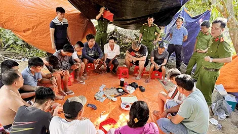 An Giang: Triệt phá sòng bạc quy mô lớn trong vườn xoài tại huyện biên giới