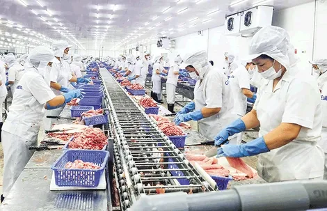 Gần 80.500 doanh nghiệp đăng ký thành lập mới trong 6 tháng đầu năm