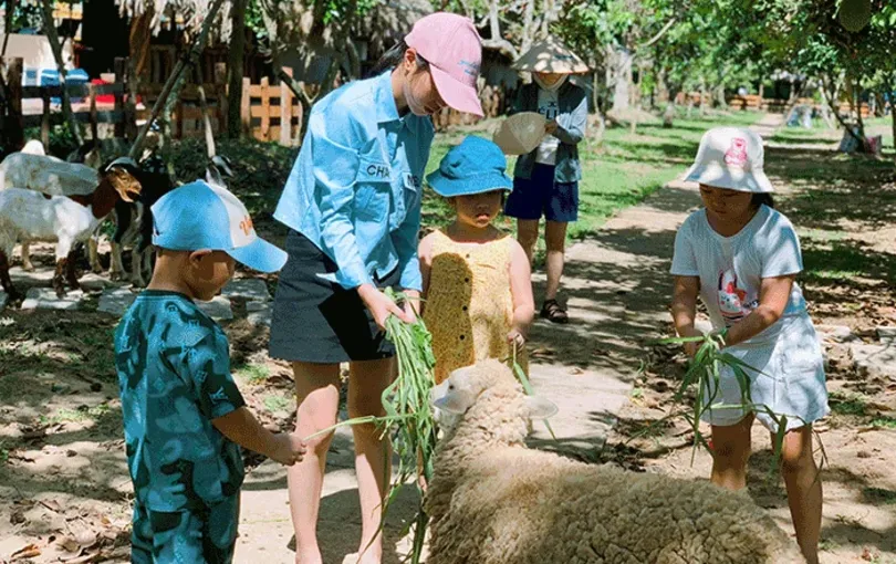 Hơn 3,7 triệu lượt du khách đến Cần Thơ trong 6 tháng đầu năm 2024