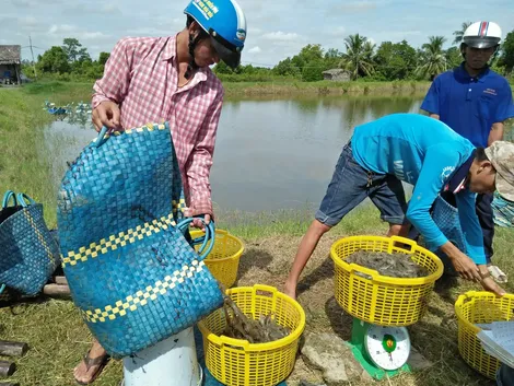 Mở lối đi mới để nuôi hy vọng