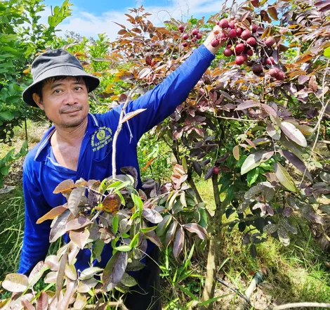 Dạo quanh thị trường