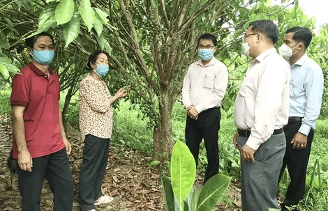 Phát huy hiệu quả vốn vay tín dụng chính sách xã hội