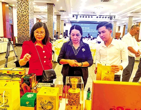 Hỗ trợ hợp tác xã kết nối, mở rộng thị trường
